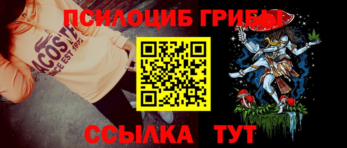 Псилоцибиновые грибы прущие грибы  Псилоцибиновые грибы Cubensis  Вход с VPN  Сызрань 