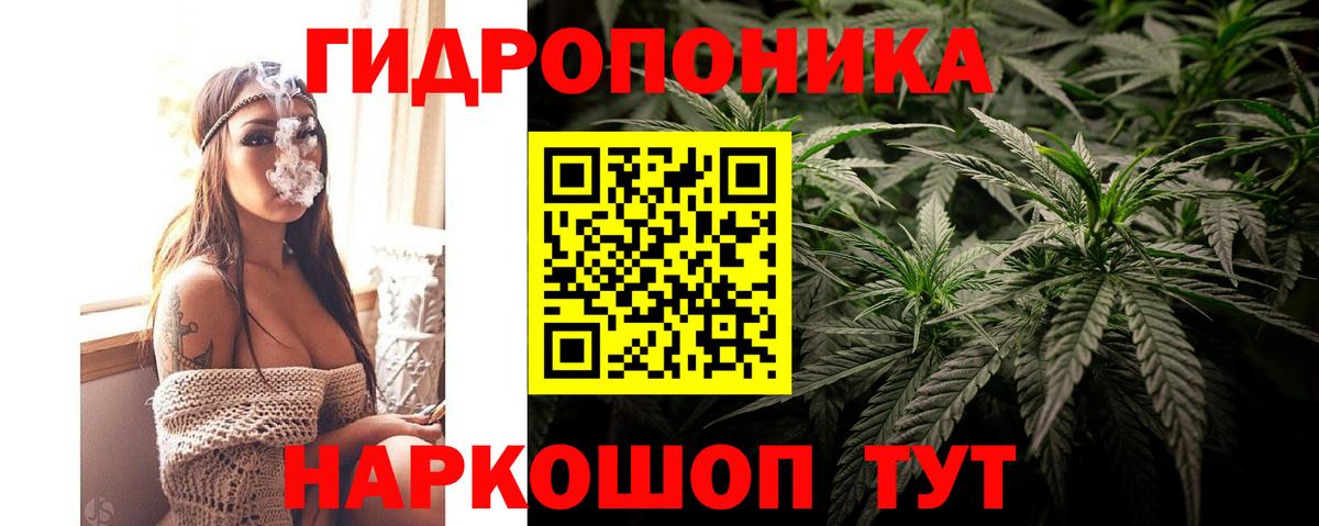 Бошки марихуана OG Kush  Каннабис ГИДРОПОН  Шишки марихуана MAZAR  Вход с VPN  Сызрань  Каннабис Amnesia 